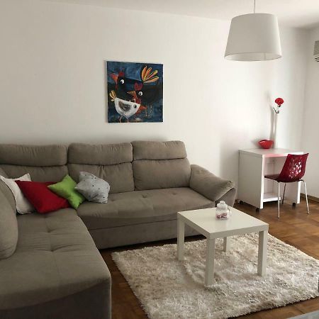 Apartment Safran Novigrad Istria Exterior foto